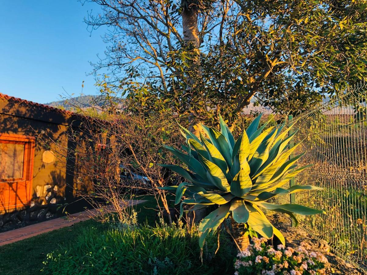Casa Rural Doña Herminda La Matanza De Acentejo Exterior foto